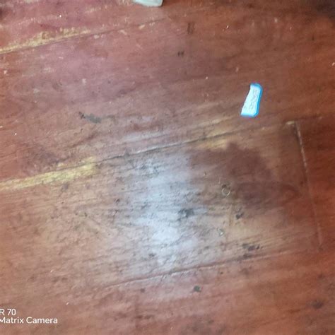 登录器 澳门十大正规电子游戏平台